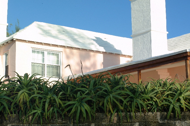 Bermuda - 39