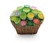 63550_kcup_T_grdn_002