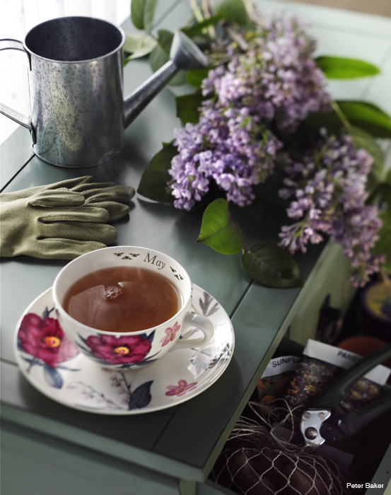 potting image