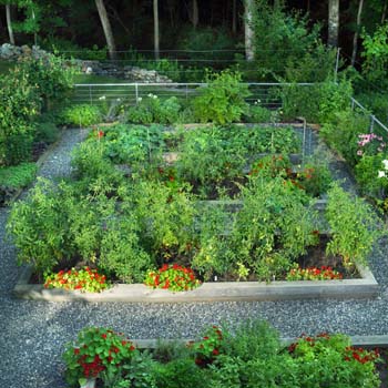 garden