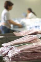 sorting shirt