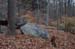 NH_Bartrc_Lake M_009
