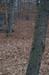 NH_Bartrc_Lake M_019