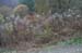 NH_Bartrc_Lake M_024