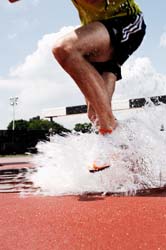 pit splash 1.2