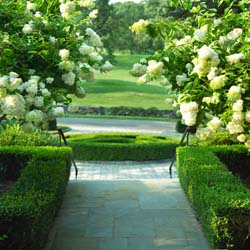 entry walk 3