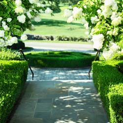 entry walk 5