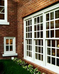 window pattern crop