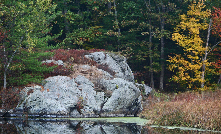 Charles in fall 1