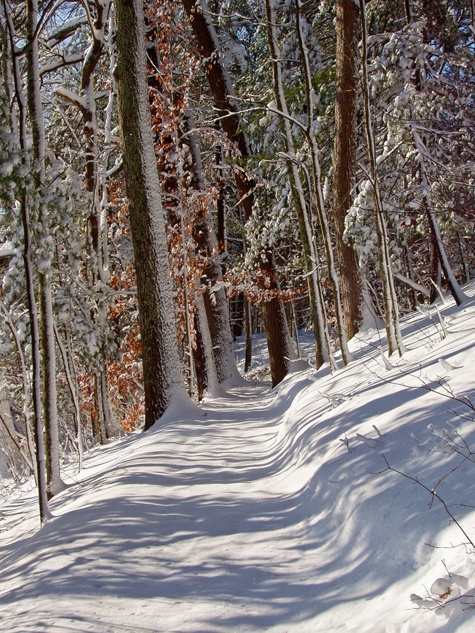Path