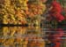 Charles in fall 3