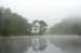 Charles in mist