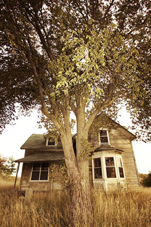 MediaBakery_THK0021128