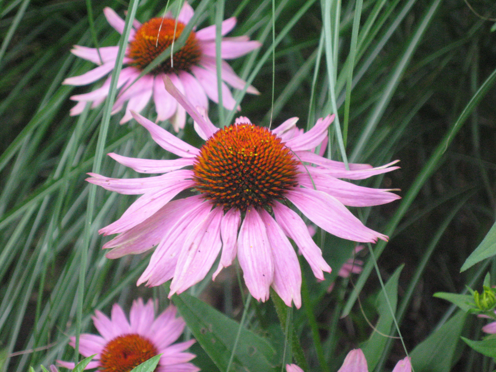 20090809_555