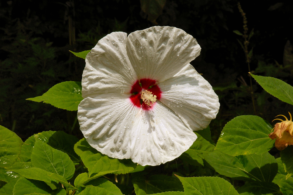 DSCN0755