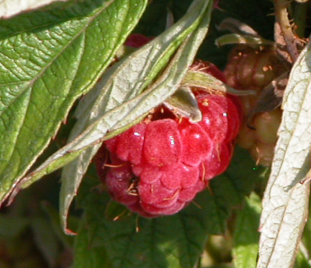 DSCN1614