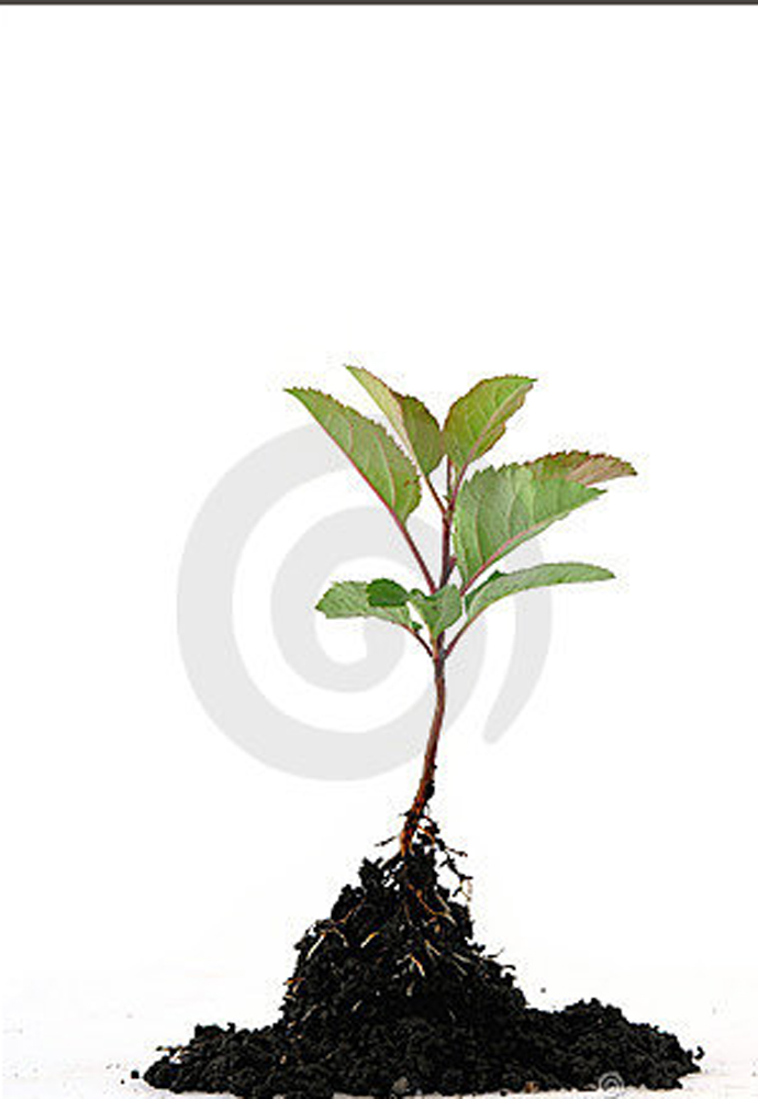 Screen shot 2010-10-1#C5757