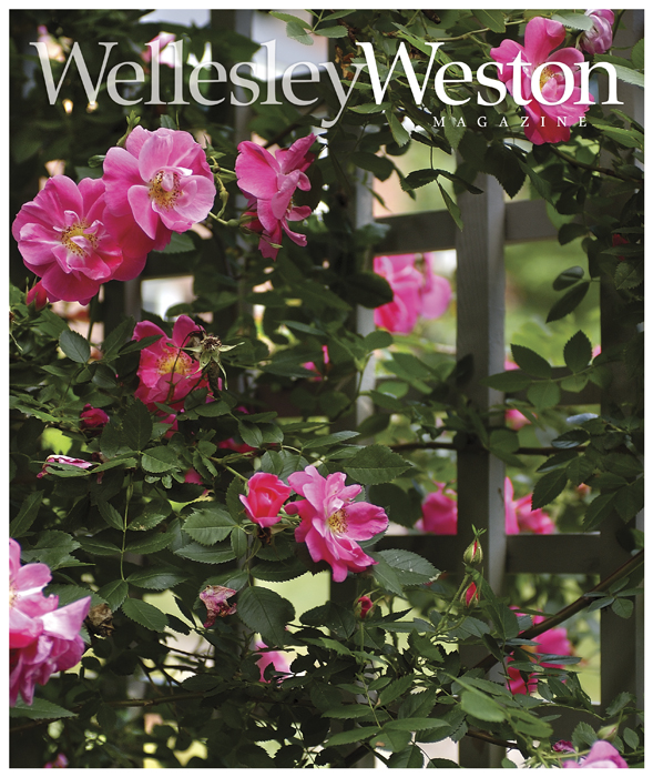 wwm.cvr_spring07.7