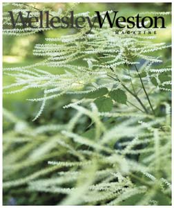 wwm.cvr_spring07.3
