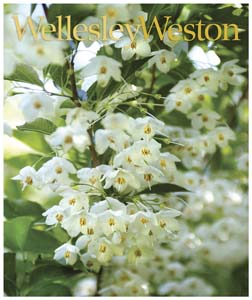 wwm.cvr_spring07.5