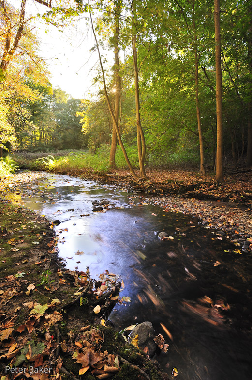 Lower Falls, Wellesley