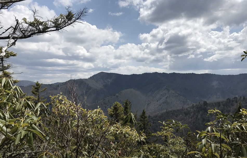 Screen Shot 2021-03-14 at 3.37.17 PM