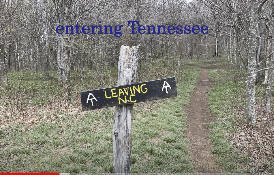 Screen Shot 2021-03-14 at 3.39.07 PM