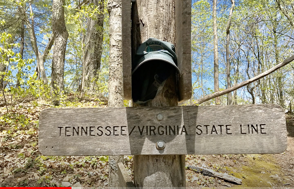 Screen Shot 2021-03-14 at 3.39.31 PM