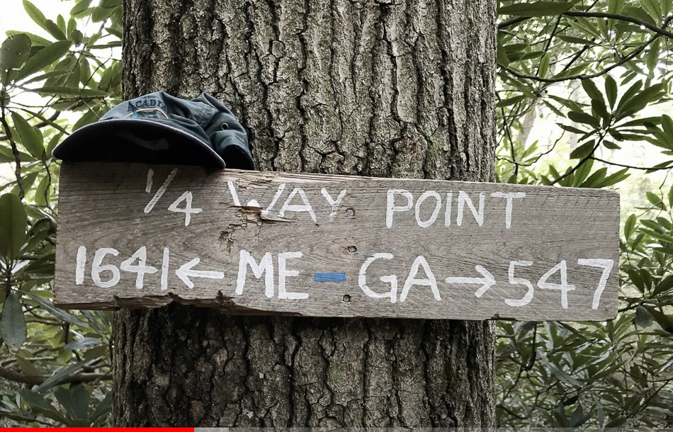 Screen Shot 2021-03-14 at 3.40.15 PM