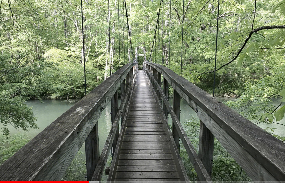 Screen Shot 2021-03-14 at 3.40.58 PM