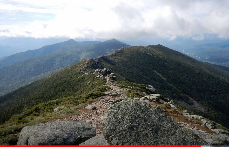 Screen Shot 2021-03-14 at 3.46.21 PM