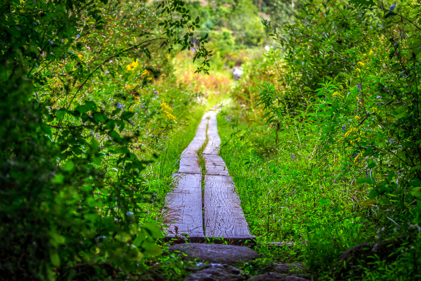 trail-3800581.1