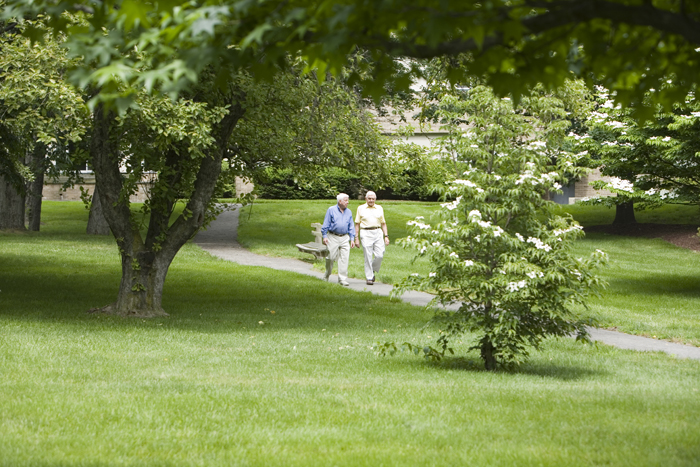watermark_244