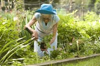 watermark_347